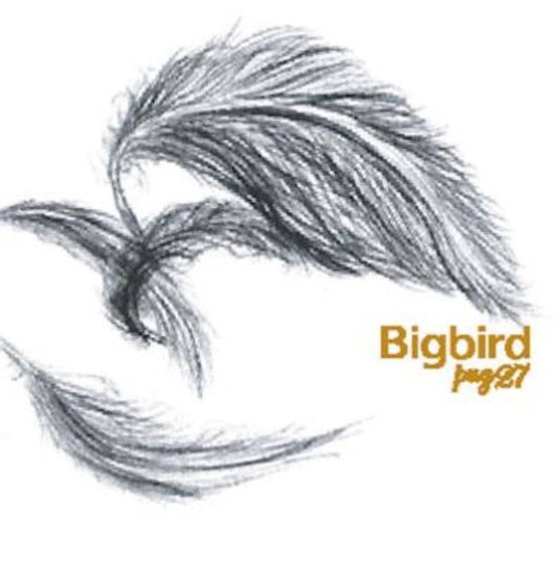 pug27 『Bigbird』